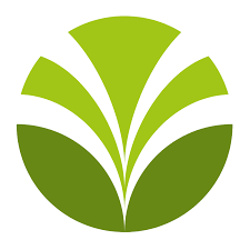Olam